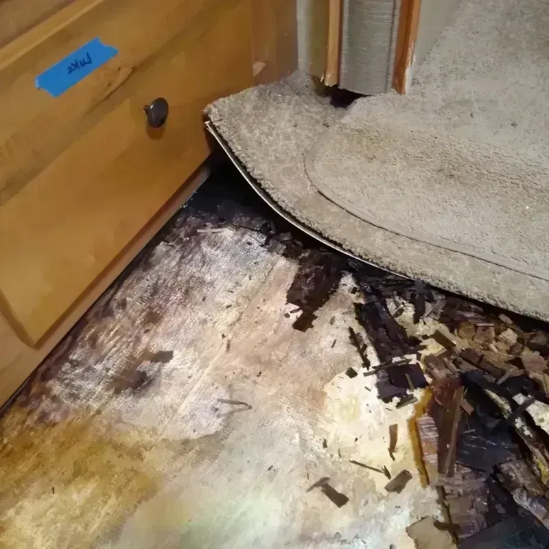 Best Wood Floor Water Damage Service in Charlevoix County, MI